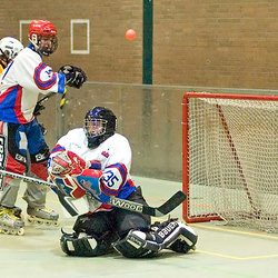 2007-02-24 (RLW) Düsseldorf Rams II - Pulheim Vipers I 5 - 4