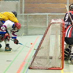 2007-02-24 (RLW) Düsseldorf Rams II - Pulheim Vipers I 5 - 4