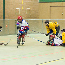 2007-02-24 (RLW) Düsseldorf Rams II - Pulheim Vipers I 5 - 4