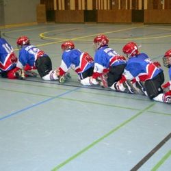 Auch die ganz kleinen können schon die Raupe....