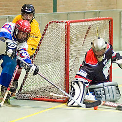 2007-02-24 (RLW) Düsseldorf Rams II - Pulheim Vipers I 5 - 4