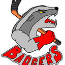 Bild Badgers Spaichingen