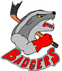 Bild Badgers Spaichingen