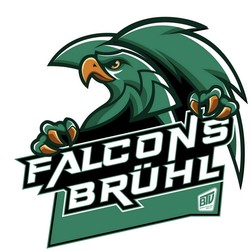 Bild BTV Falcons Brühl