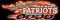 Bild IVA Rhein Main Patriots